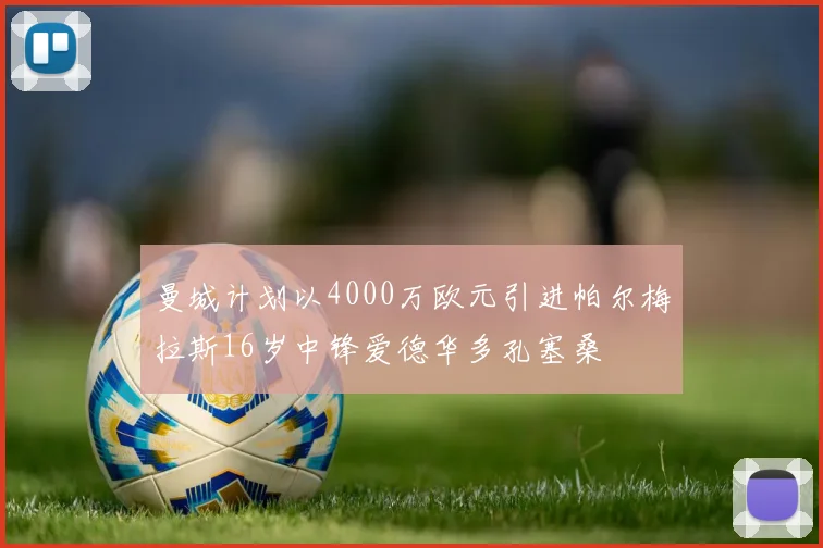 曼城计划以4000万欧元引进帕尔梅拉斯16岁中锋爱德华多孔塞桑