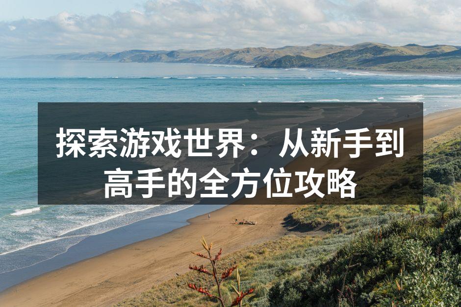 游戏攻略的多样性