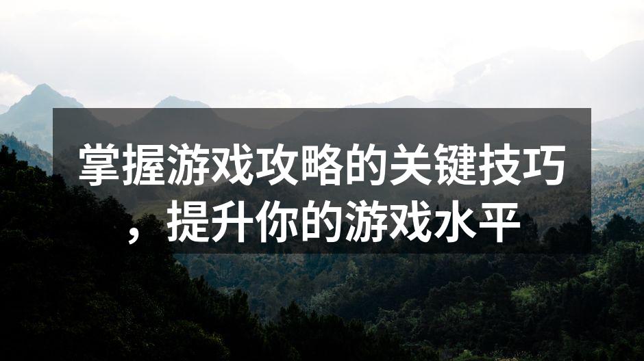 游戏策略示意图